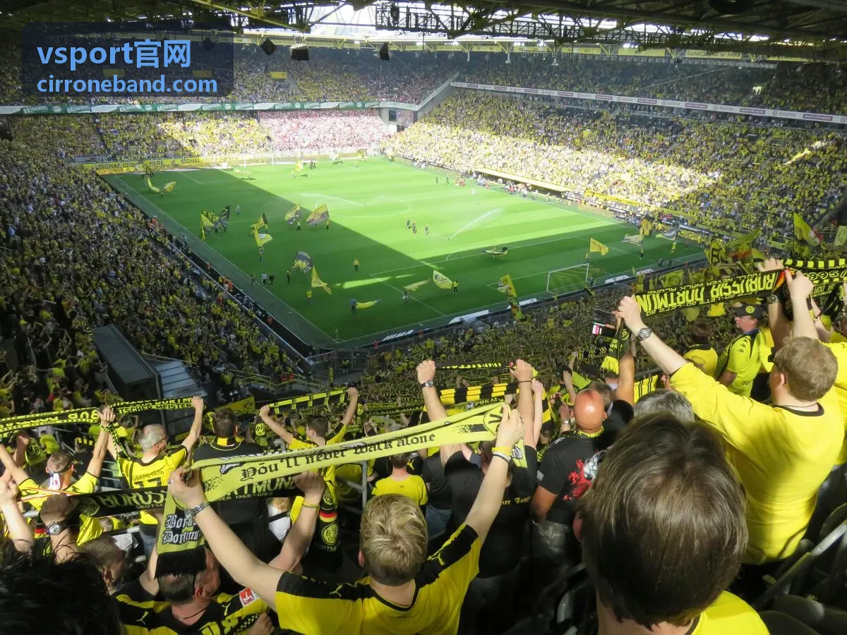 vsport官网装备顾问讲解现场装备领取流程